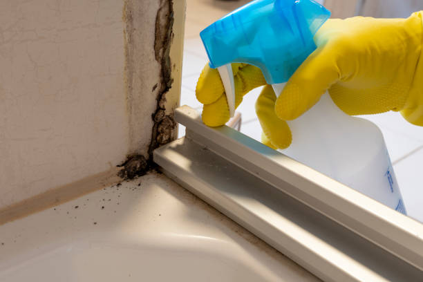 Best Mold Removal Process  in Oak Hills, PA
