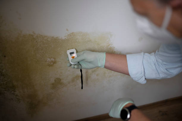 Best Crawl Space Mold Removal  in Oak Hills, PA