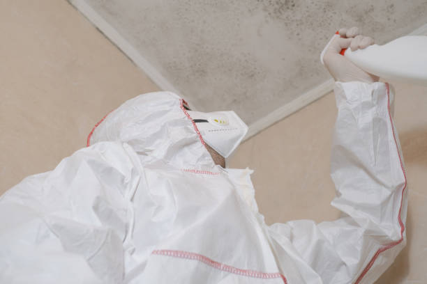Home Mold Removal in Oak Hills, PA