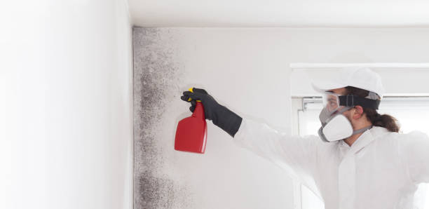 Best Certified Mold Removal  in Oak Hills, PA